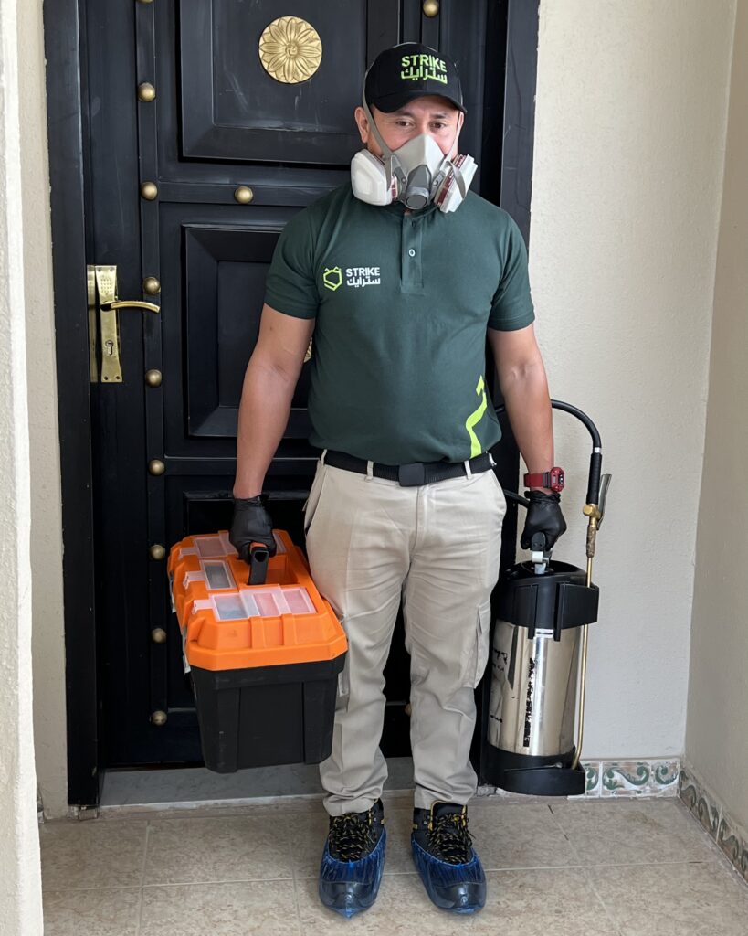 أسباب انتشار الحشرات في الرياض خلال الصيف وكيفية تجنبها مع خدمات شركة سترايك لمكافحة الحشرات