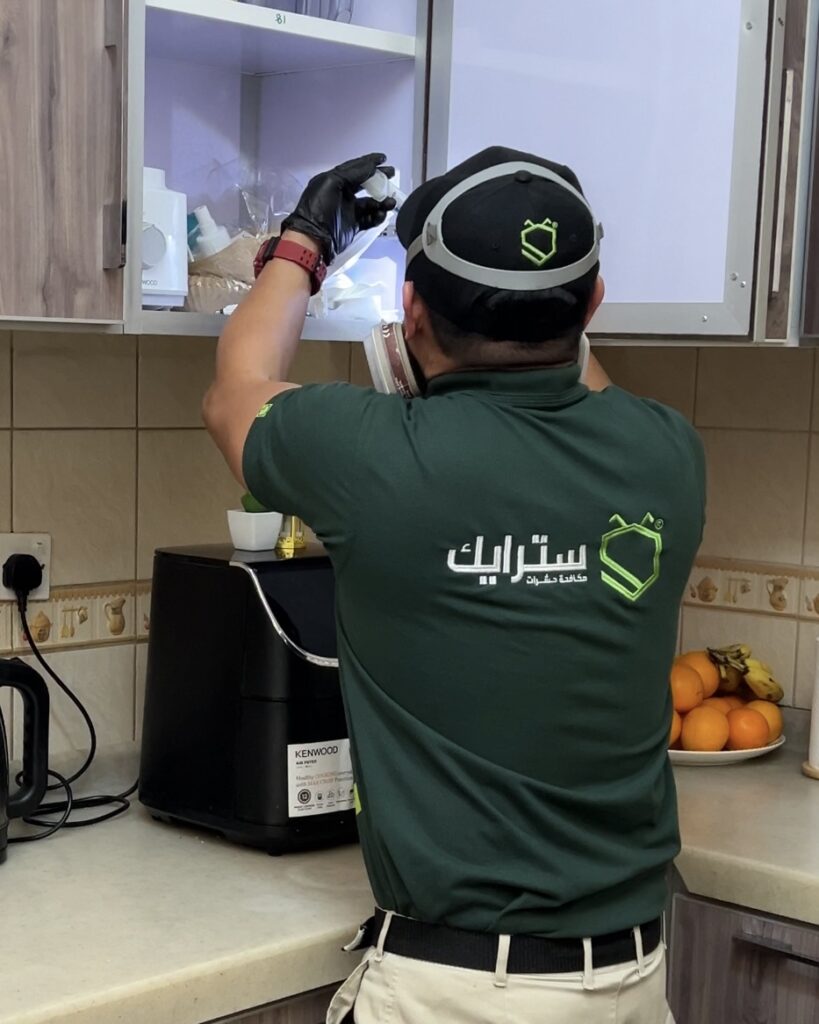 هل المبيدات الحشرية آمنة للأطفال؟ ما الذي يجب معرفته قبل الاستخدام مع شركة سترايك بالرياض