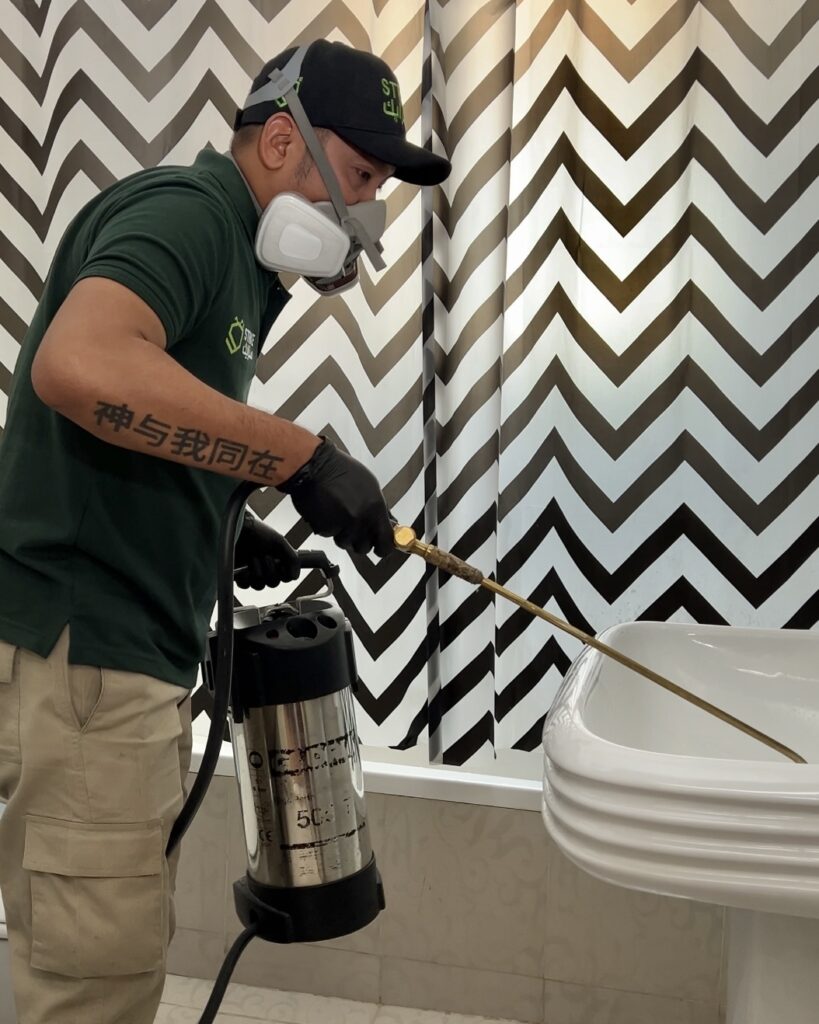 ما هي الحشرات الأكثر شيوعًا في مناخ الرياض وكيف تتعامل معها؟