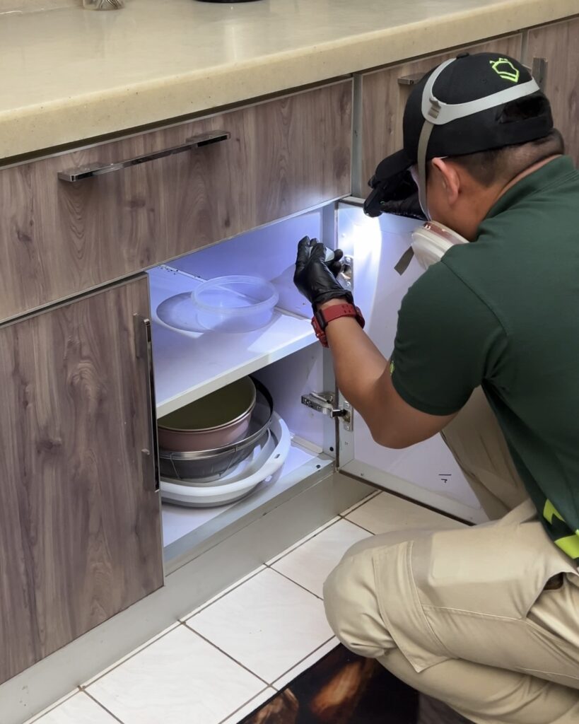 مكافحة بق الفراش: خطر خفي في منازلنا – دليلك للتعامل بوعي وفعالية مع شركة سترايك