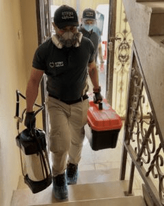 أفضل شركة للقضاء على النمل الأبيض في الرياض: حلول فعالة لمكافحة النمل في المنزل