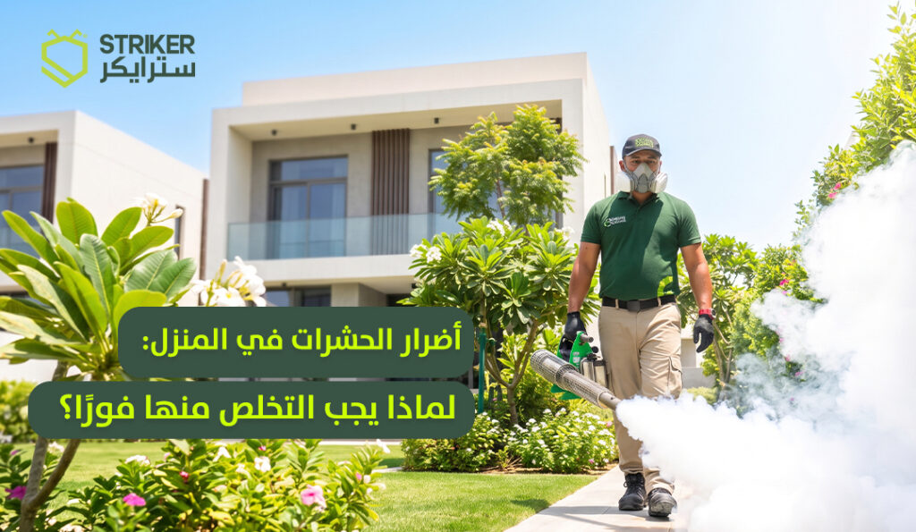 فحص الشقوق أسفل حوض المطبخ ضمن مكافحة الحشرات المنزلية.صرصور قرب خزانة الطعام قبل تنفيذ مكافحة الصراصير.