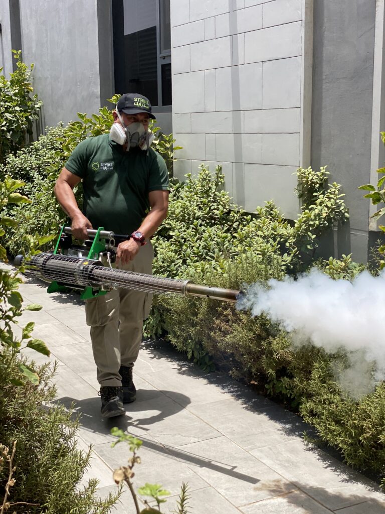 طرق فعّالة للتخلص من البق في الرياض مع شركة سترايك لمكافحة الحشرات