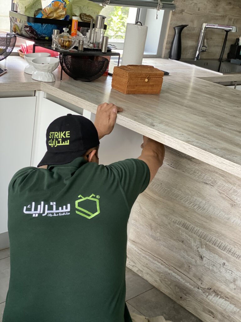 شركة مكافحة بق الفراش في الرياض: الحل النهائي لمشكلة البق!